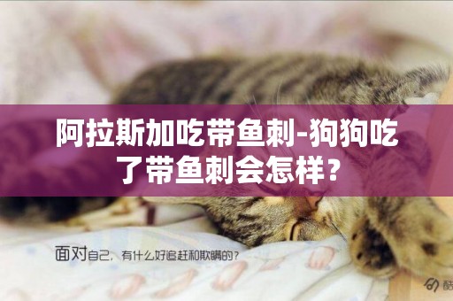 阿拉斯加吃帶魚刺-狗狗吃了帶魚刺會怎樣？