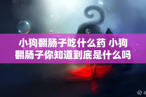 小狗翻腸子吃什么藥 小狗翻腸子你知道到底是什么嗎？