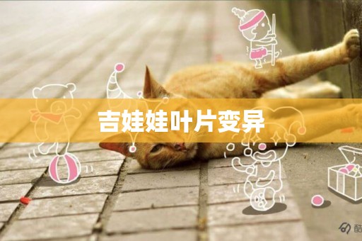 吉娃娃葉片變異