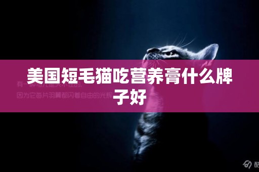 美國短毛貓吃營養膏什么牌子好