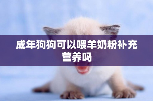 成年狗狗可以喂羊奶粉補充營養嗎