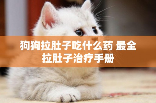 狗狗拉肚子吃什么藥 最全拉肚子治療手冊