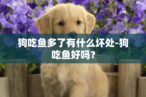 狗吃魚多了有什么壞處-狗吃魚好嗎？