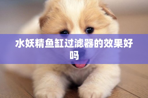水妖精魚缸過濾器的效果好嗎