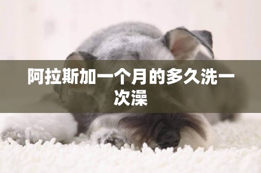 阿拉斯加一個月的多久洗一次澡