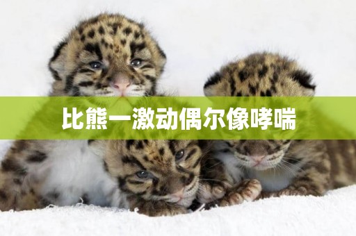 比熊一激動偶爾像哮喘