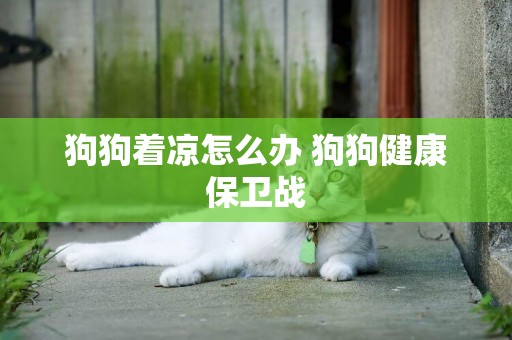 狗狗著涼怎么辦 狗狗健康保衛戰