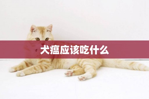 犬瘟應該吃什么