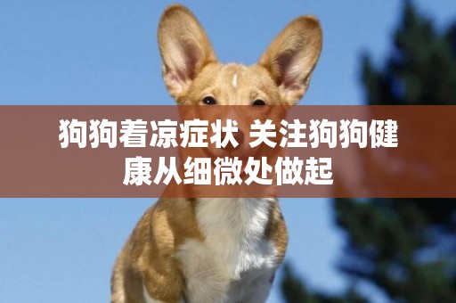狗狗著涼癥狀 關注狗狗健康從細微處做起