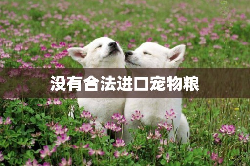 沒有合法進口寵物糧