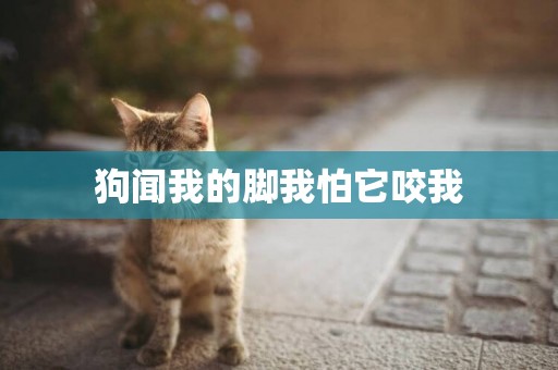 狗聞我的腳我怕它咬我