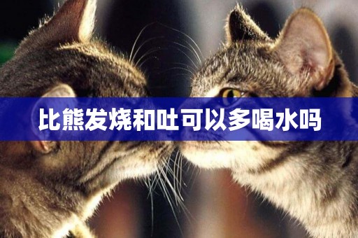 比熊發燒和吐可以多喝水嗎