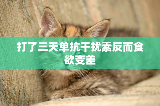 打了三天單抗干擾素反而食欲變差