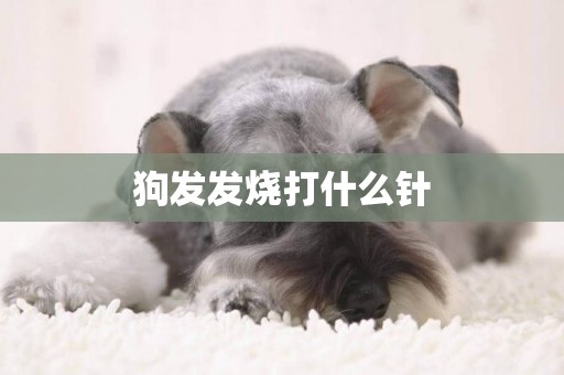 狗發發燒打什么針