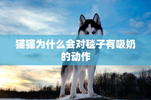 貓貓為什么會對毯子有吸奶的動作