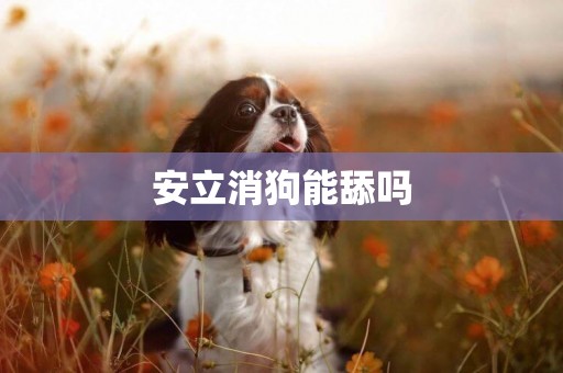 安立消狗能舔嗎