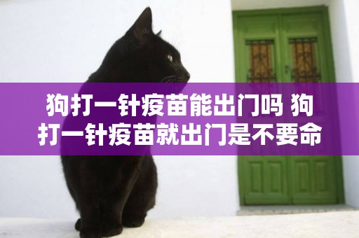 狗打一針疫苗能出門嗎 狗打一針疫苗就出門是不要命了嘛！