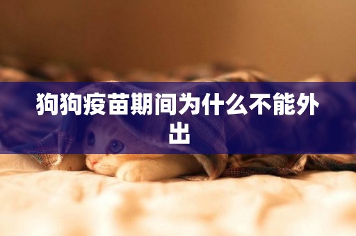 狗狗疫苗期間為什么不能外出