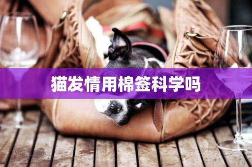 貓發情用棉簽科學嗎