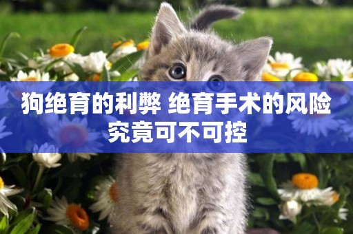 狗絕育的利弊 絕育手術的風險究竟可不可控