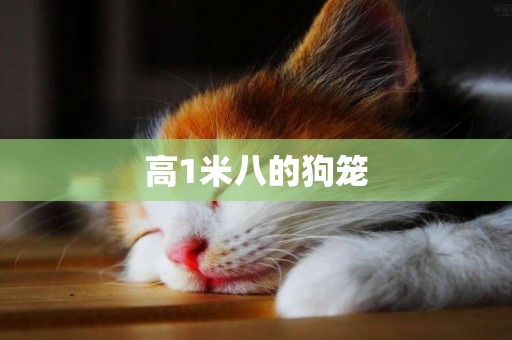 高1米八的狗籠