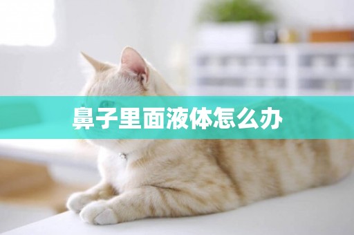 鼻子里面液體怎么辦