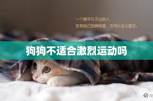 狗狗不適合激烈運動嗎