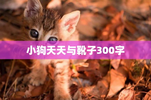 小狗天天與靴子300字