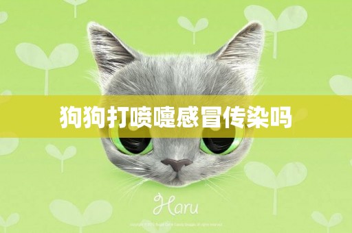 狗狗打噴嚏感冒傳染嗎