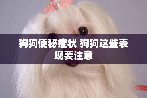 狗狗便秘癥狀 狗狗這些表現要注意