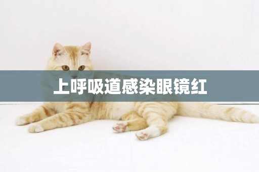 上呼吸道感染眼鏡紅