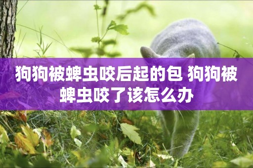 狗狗被蜱蟲咬后起的包 狗狗被蜱蟲咬了該怎么辦