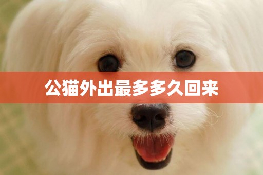 公貓外出最多多久回來