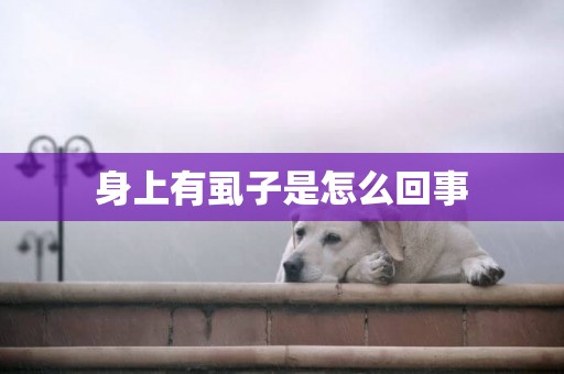 身上有虱子是怎么回事