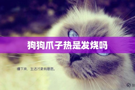 狗狗爪子熱是發燒嗎
