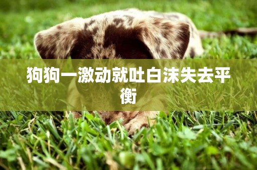 狗狗一激動就吐白沫失去平衡