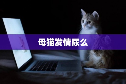 母貓發情尿么