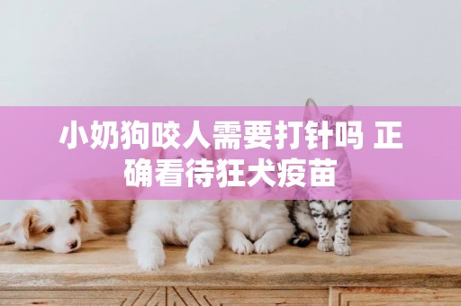 小奶狗咬人需要打針嗎 正確看待狂犬疫苗