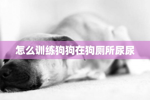 怎么訓練狗狗在狗廁所尿尿