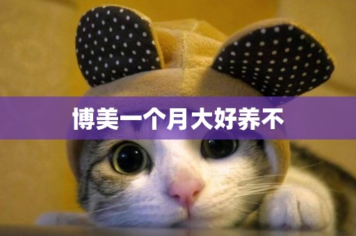博美一個月大好養不