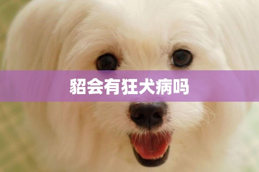 貂會有狂犬病嗎