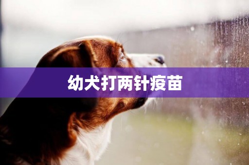 幼犬打兩針疫苗