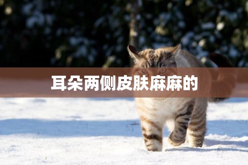 耳朵兩側皮膚麻麻的