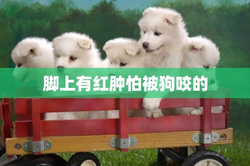 腳上有紅腫怕被狗咬的