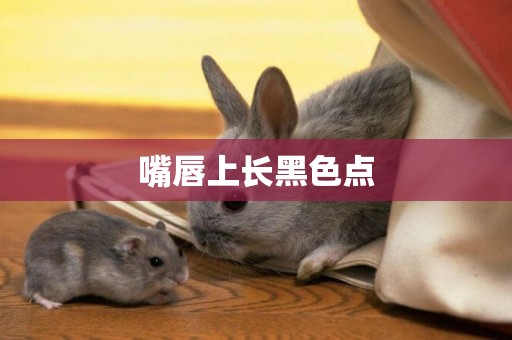 嘴唇上長黑色點