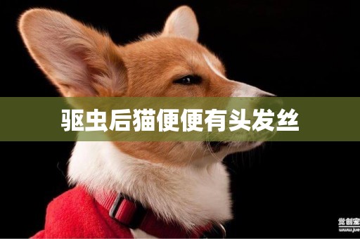 驅蟲后貓便便有頭發絲