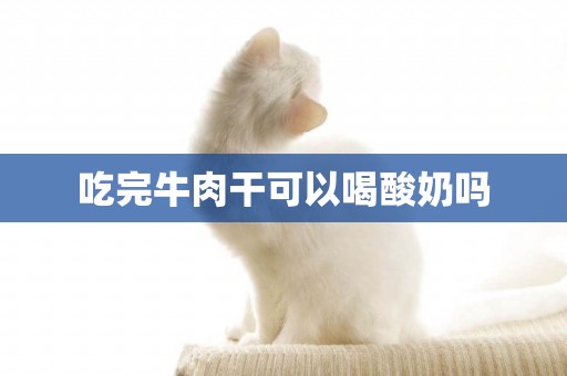 吃完牛肉干可以喝酸奶嗎