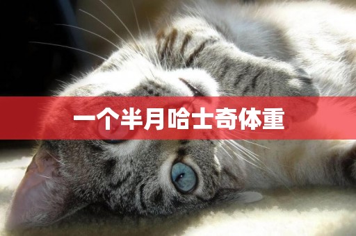 一個半月哈士奇體重