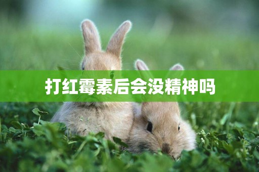 打紅霉素后會沒精神嗎