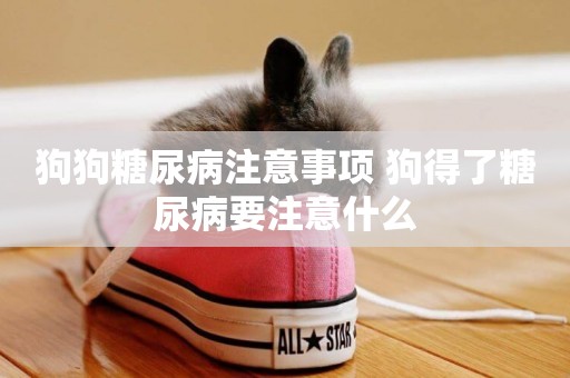 狗狗糖尿病注意事項 狗得了糖尿病要注意什么